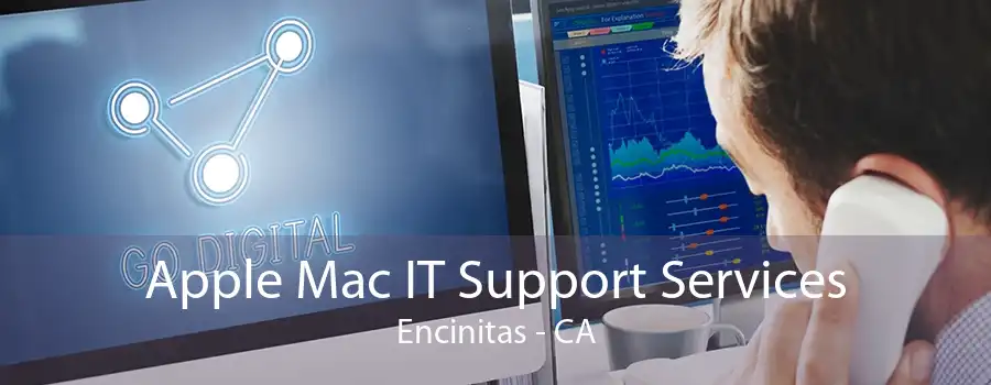 Apple Mac IT Support Services Encinitas - CA