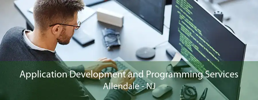 Application Development and Programming Services Allendale - NJ