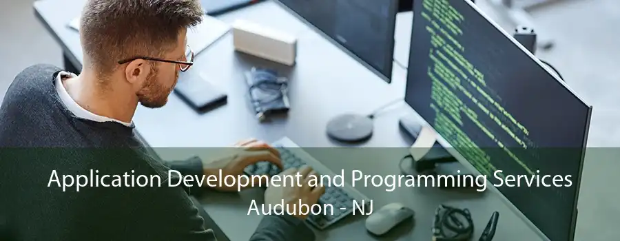 Application Development and Programming Services Audubon - NJ