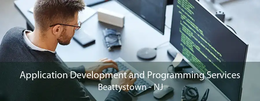 Application Development and Programming Services Beattystown - NJ