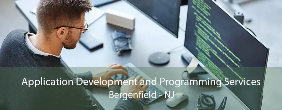 Application Development and Programming Services Bergenfield - NJ