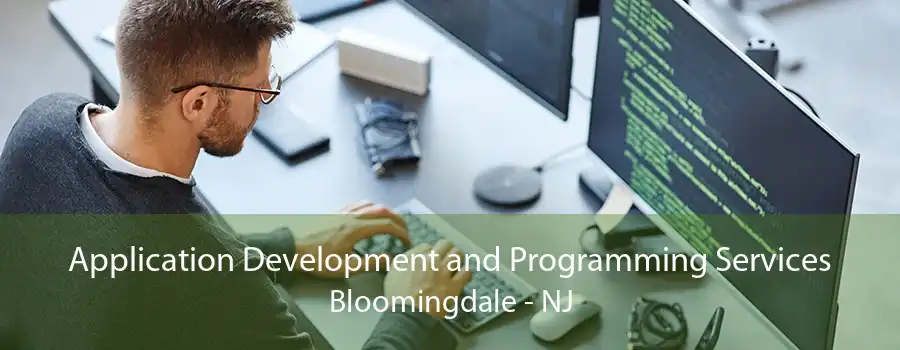 Application Development and Programming Services Bloomingdale - NJ