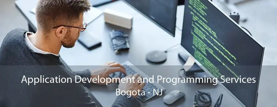 Application Development and Programming Services Bogota - NJ