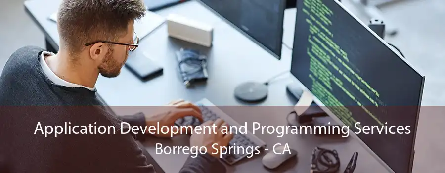 Application Development and Programming Services Borrego Springs - CA