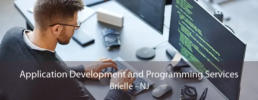 Application Development and Programming Services Brielle - NJ