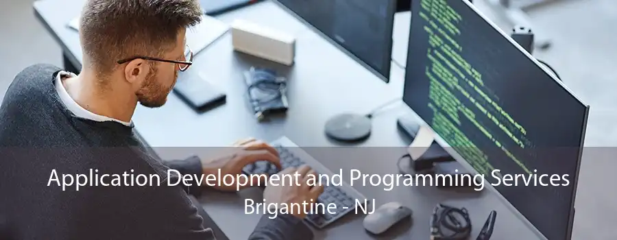 Application Development and Programming Services Brigantine - NJ