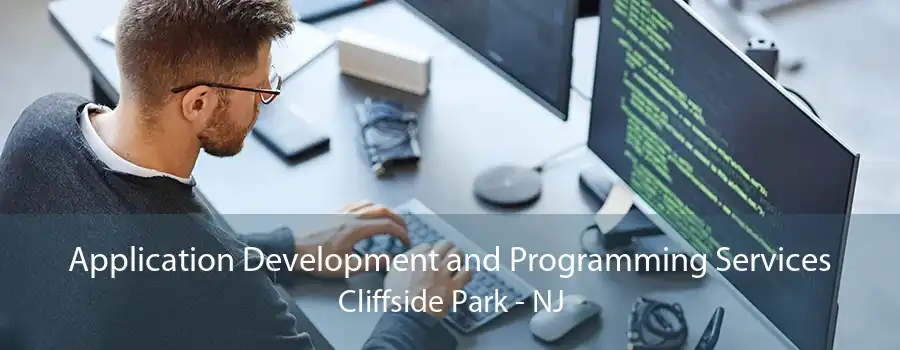 Application Development and Programming Services Cliffside Park - NJ