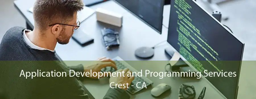 Application Development and Programming Services Crest - CA