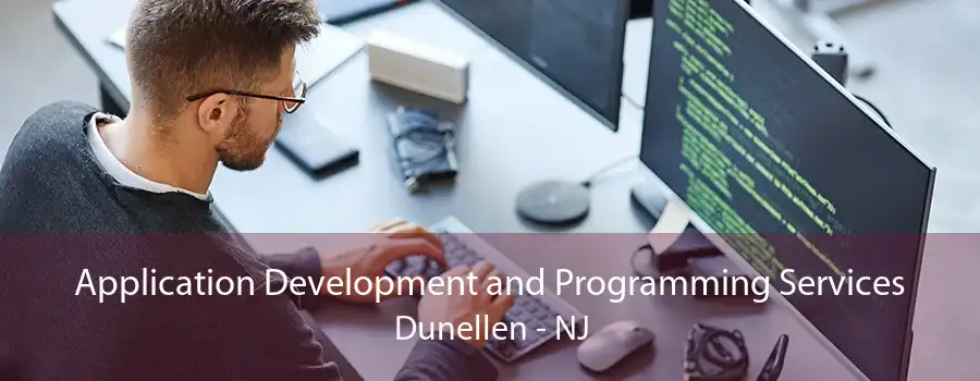 Application Development and Programming Services Dunellen - NJ