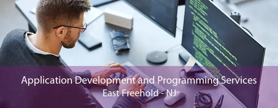 Application Development and Programming Services East Freehold - NJ