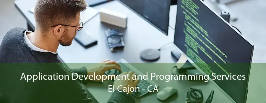 Application Development and Programming Services El Cajon - CA