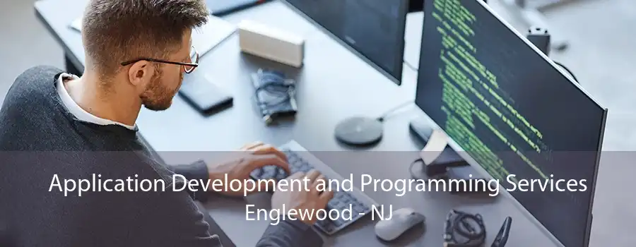 Application Development and Programming Services Englewood - NJ