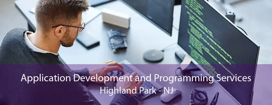 Application Development and Programming Services Highland Park - NJ