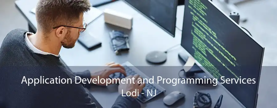 Application Development and Programming Services Lodi - NJ