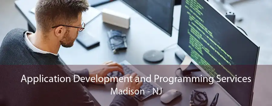 Application Development and Programming Services Madison - NJ