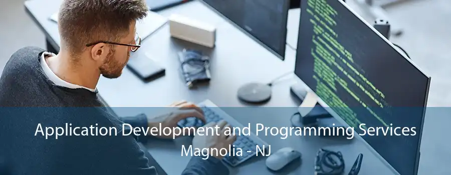 Application Development and Programming Services Magnolia - NJ