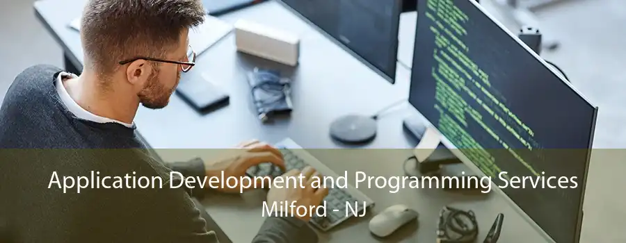 Application Development and Programming Services Milford - NJ