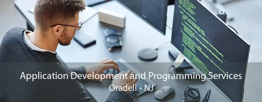 Application Development and Programming Services Oradell - NJ