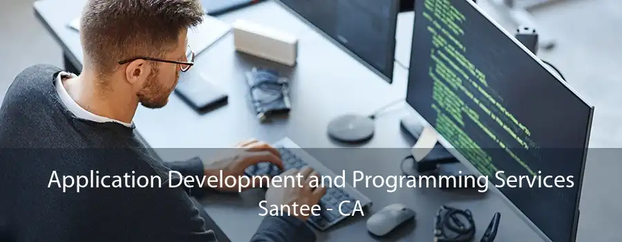 Application Development and Programming Services Santee - CA