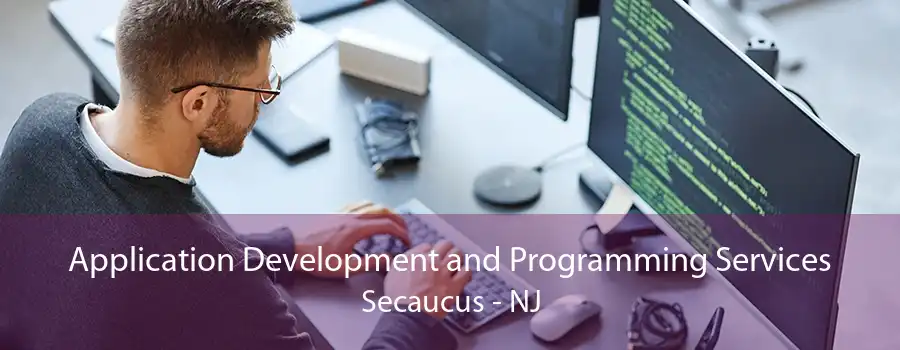 Application Development and Programming Services Secaucus - NJ