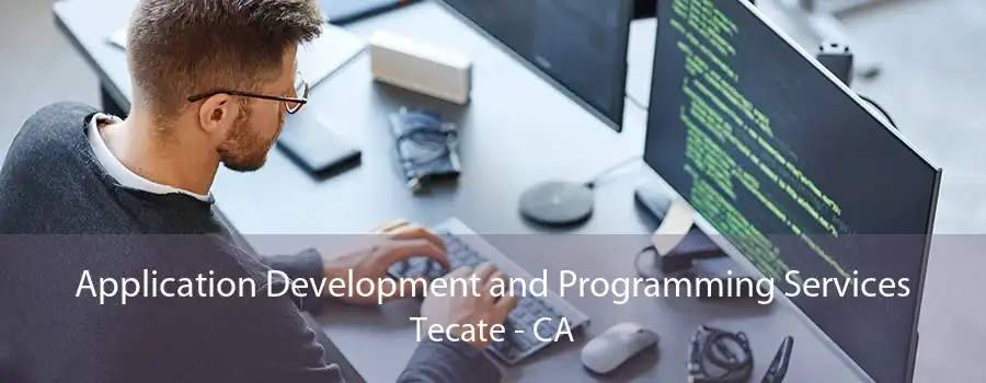 Application Development and Programming Services Tecate - CA