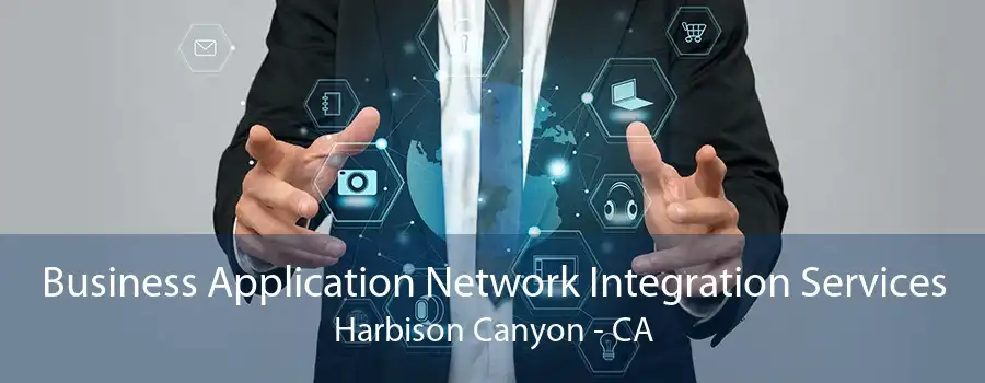 Business Application Network Integration Services Harbison Canyon - CA