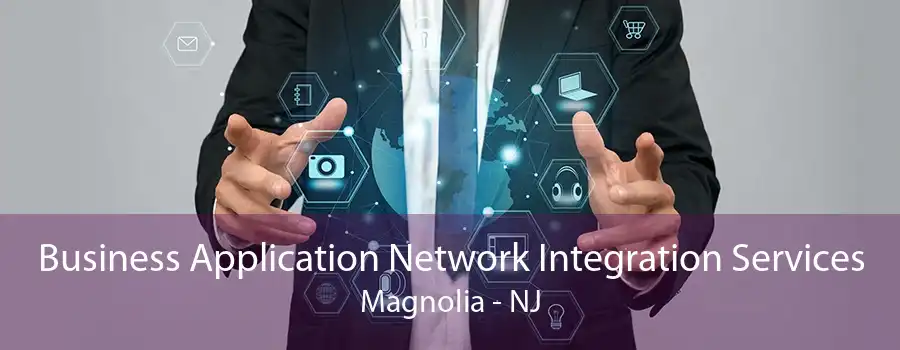 Business Application Network Integration Services Magnolia - NJ