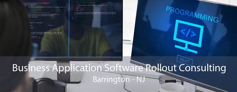 Business Application Software Rollout Consulting Barrington - NJ