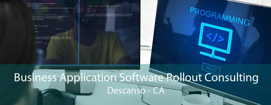 Business Application Software Rollout Consulting Descanso - CA