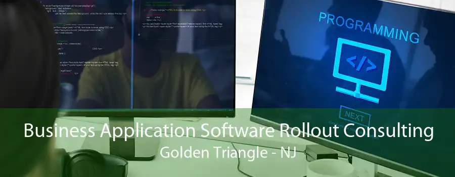 Business Application Software Rollout Consulting Golden Triangle - NJ