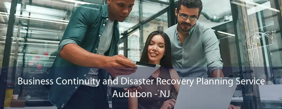 Business Continuity and Disaster Recovery Planning Service Audubon - NJ