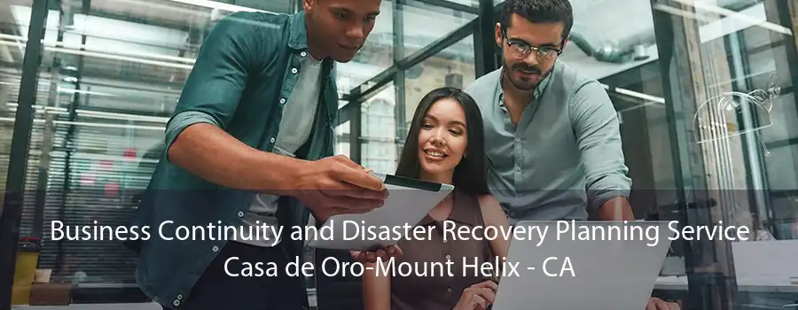 Business Continuity and Disaster Recovery Planning Service Casa de Oro-Mount Helix - CA