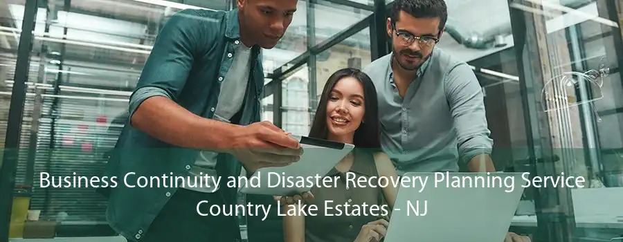 Business Continuity and Disaster Recovery Planning Service Country Lake Estates - NJ