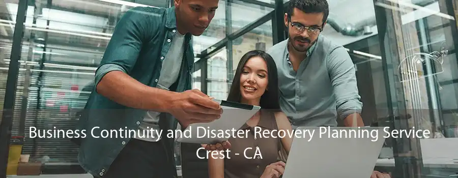 Business Continuity and Disaster Recovery Planning Service Crest - CA