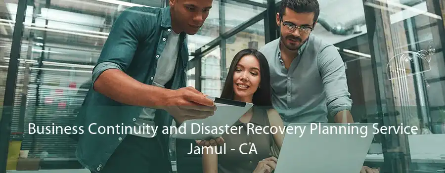 Business Continuity and Disaster Recovery Planning Service Jamul - CA