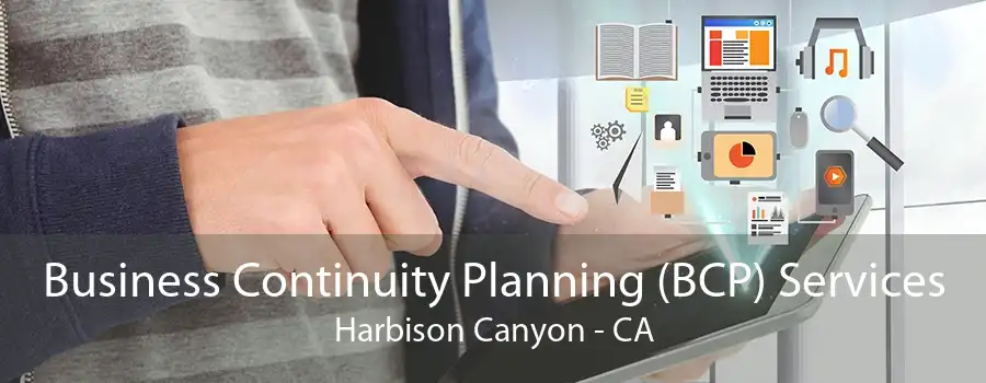 Business Continuity Planning (BCP) Services Harbison Canyon - CA