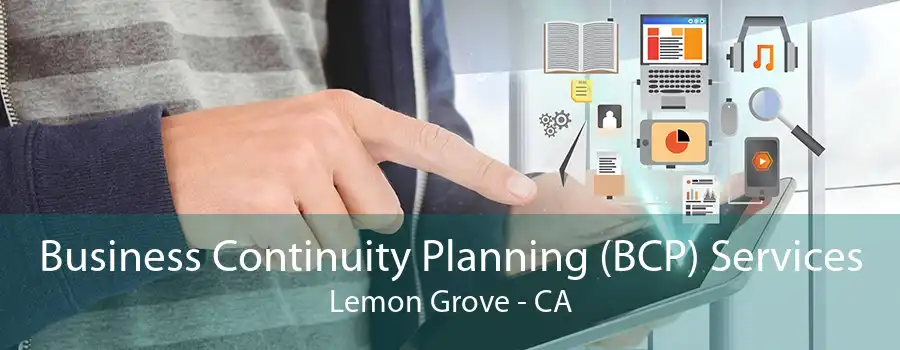 Business Continuity Planning (BCP) Services Lemon Grove - CA