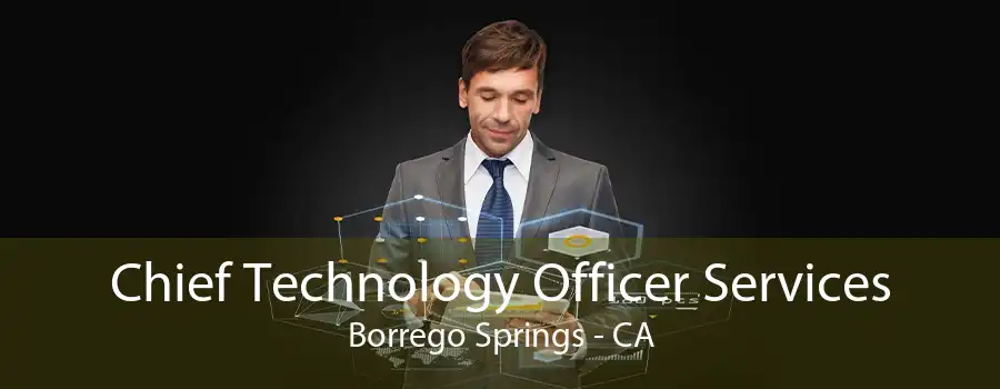 Chief Technology Officer Services Borrego Springs - CA