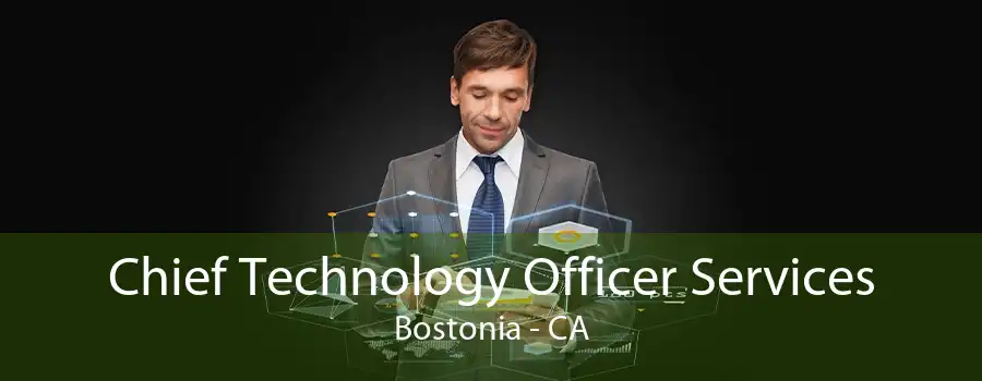 Chief Technology Officer Services Bostonia - CA