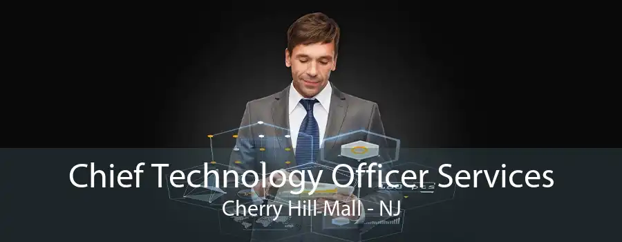 Chief Technology Officer Services Cherry Hill Mall - NJ