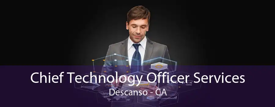 Chief Technology Officer Services Descanso - CA