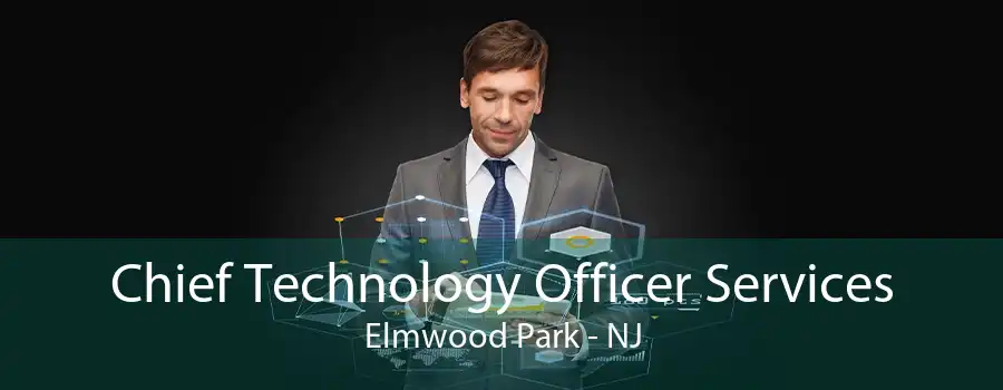 Chief Technology Officer Services Elmwood Park - NJ