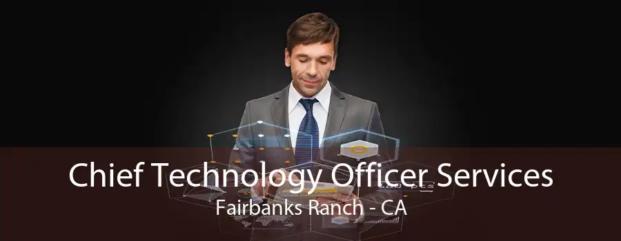 Chief Technology Officer Services Fairbanks Ranch - CA