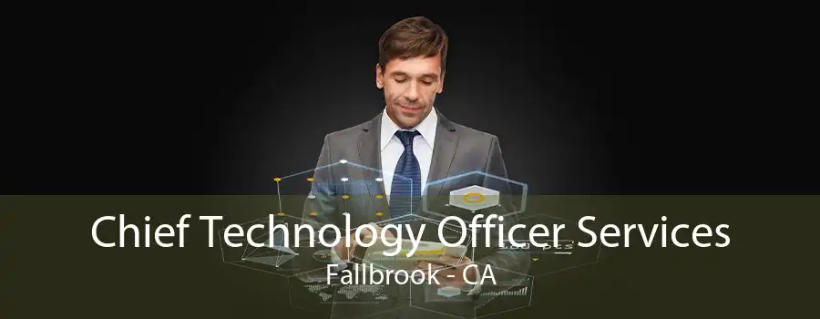 Chief Technology Officer Services Fallbrook - CA