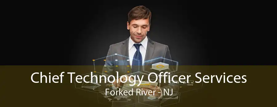 Chief Technology Officer Services Forked River - NJ