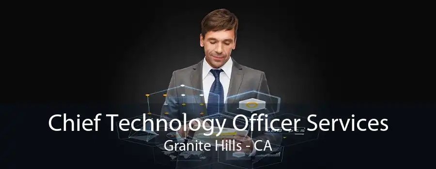 Chief Technology Officer Services Granite Hills - CA