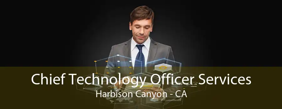 Chief Technology Officer Services Harbison Canyon - CA