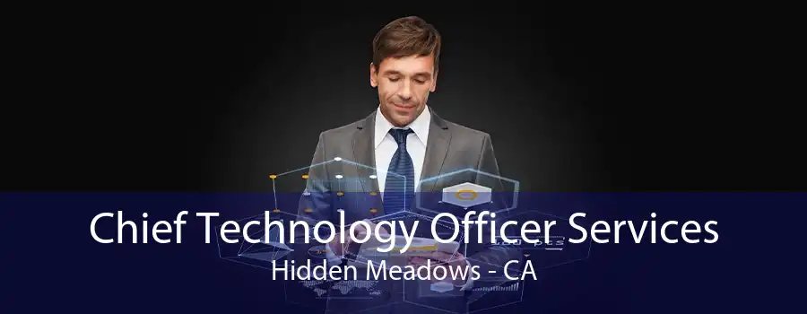 Chief Technology Officer Services Hidden Meadows - CA