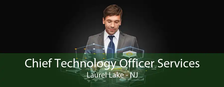 Chief Technology Officer Services Laurel Lake - NJ