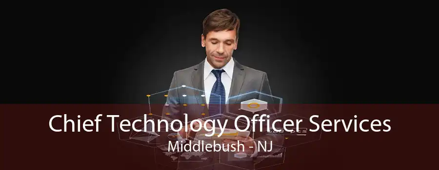 Chief Technology Officer Services Middlebush - NJ